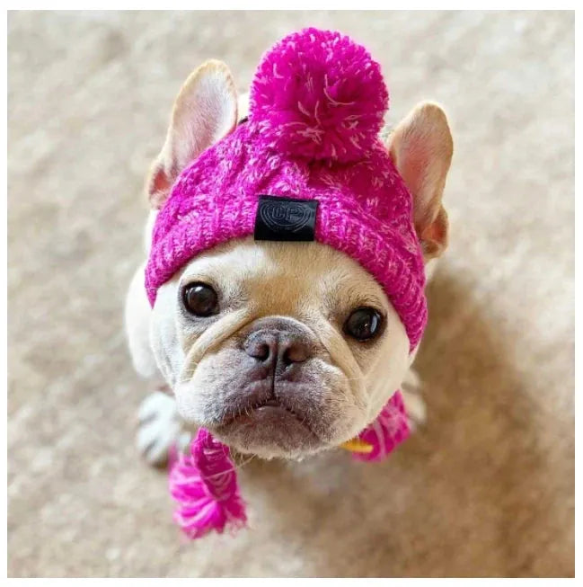 SUPERPET Winter Warm Dog Hat – Windproof Knitted Pet Cap with Fluffy Ball for French Bulldogs, Chihuahuas & Small Dogs