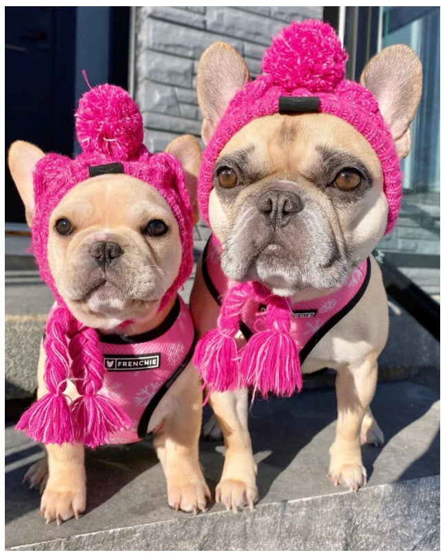 SUPERPET Winter Warm Dog Hat – Windproof Knitted Pet Cap with Fluffy Ball for French Bulldogs, Chihuahuas & Small Dogs