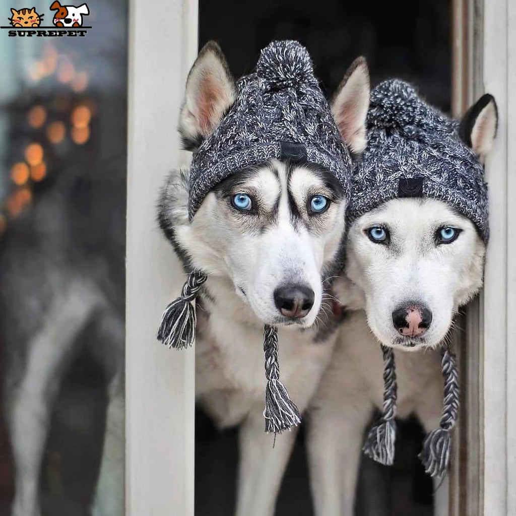 SUPERPET Winter Warm Dog Hat – Windproof Knitted Pet Cap with Fluffy Ball for French Bulldogs, Chihuahuas & Small Dogs