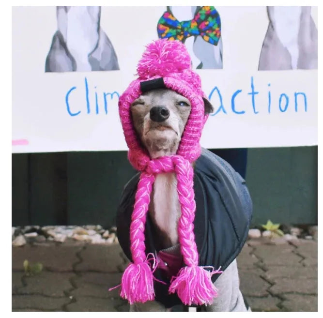 SUPERPET Winter Warm Dog Hat – Windproof Knitted Pet Cap with Fluffy Ball for French Bulldogs, Chihuahuas & Small Dogs