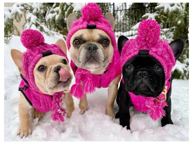 SUPERPET Winter Warm Dog Hat – Windproof Knitted Pet Cap with Fluffy Ball for French Bulldogs, Chihuahuas & Small Dogs
