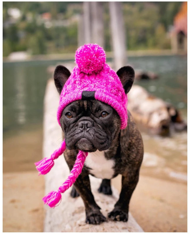 SUPERPET Winter Warm Dog Hat – Windproof Knitted Pet Cap with Fluffy Ball for French Bulldogs, Chihuahuas & Small Dogs
