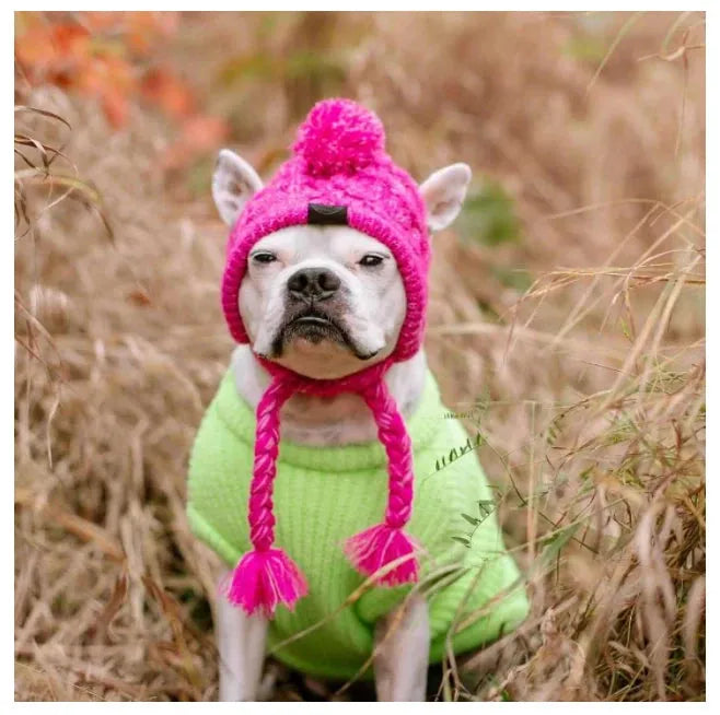 SUPERPET Winter Warm Dog Hat – Windproof Knitted Pet Cap with Fluffy Ball for French Bulldogs, Chihuahuas & Small Dogs