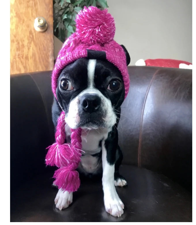 SUPERPET Winter Warm Dog Hat – Windproof Knitted Pet Cap with Fluffy Ball for French Bulldogs, Chihuahuas & Small Dogs
