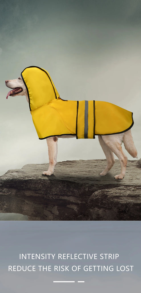Dog wearing a yellow raincoat with a reflective strip on a rock