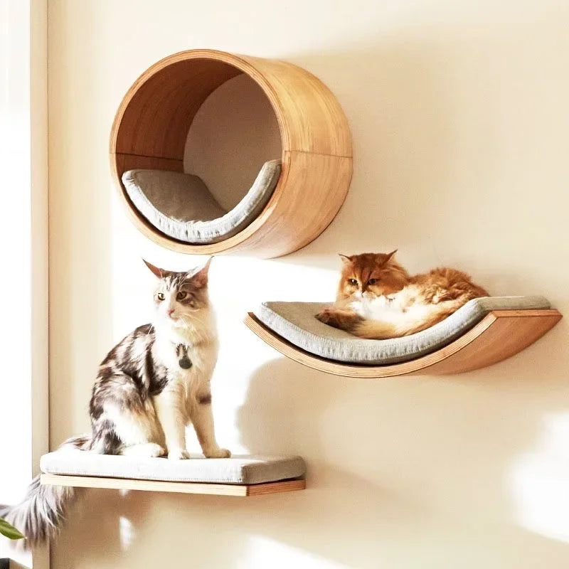 Two cats on wooden cat shelves against a beige wall.
