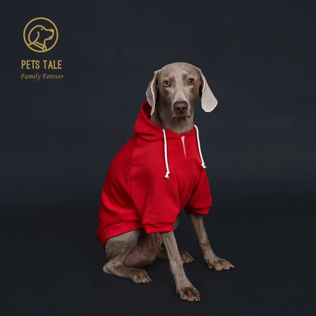 Dog wearing a red hoodie on a black background with 'Pets Tale' logo.