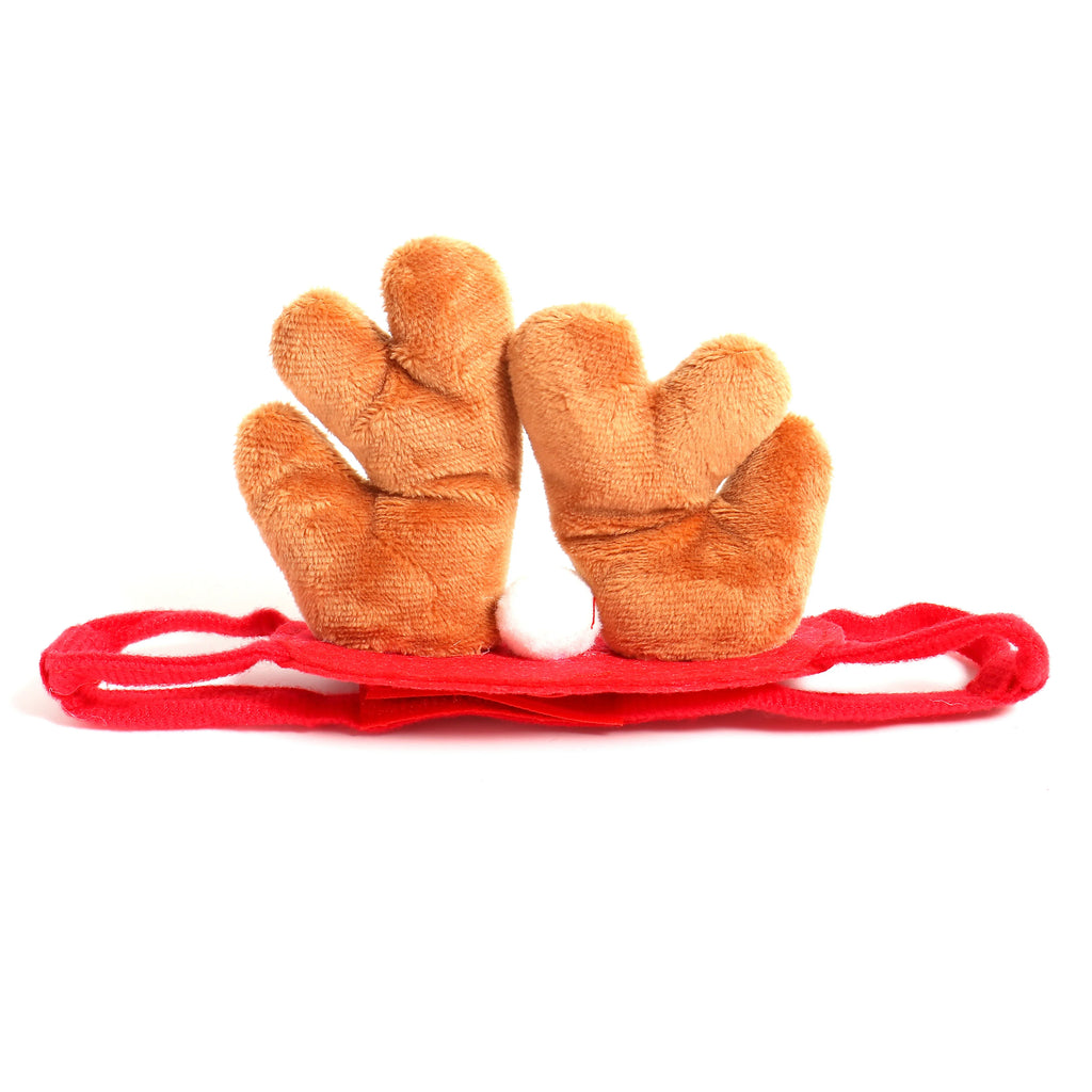 Pair of brown plush paw toys on a red leash against a white background