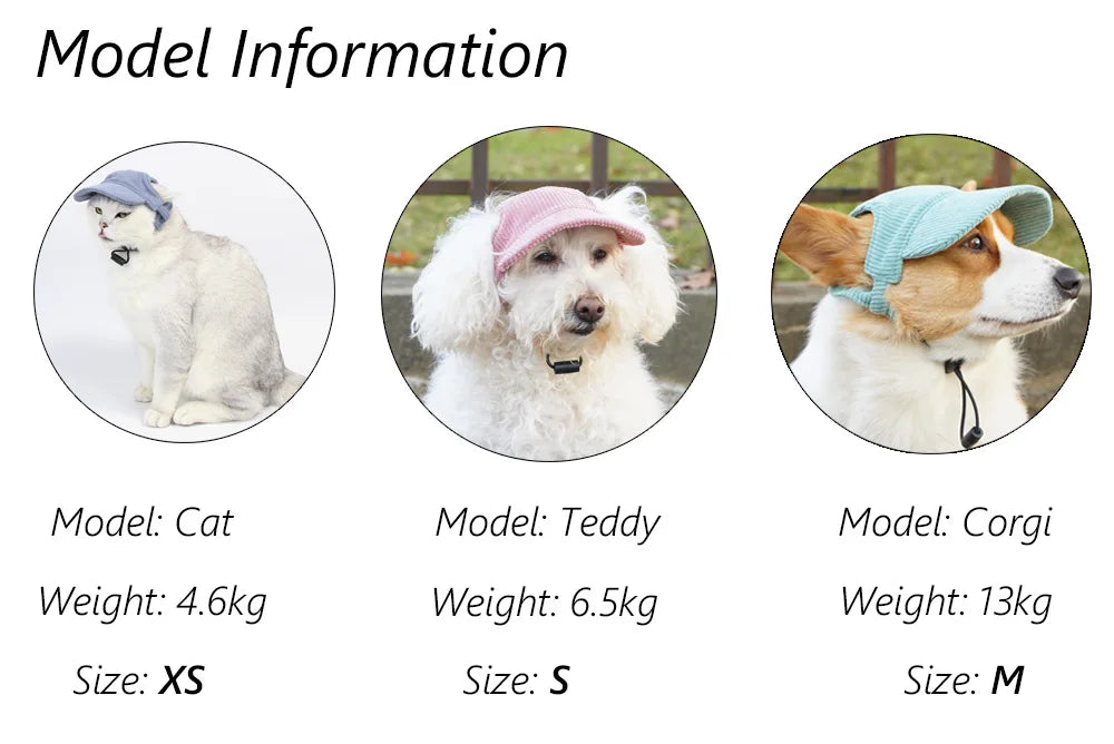 Three dogs wearing hats with model information displayed below.