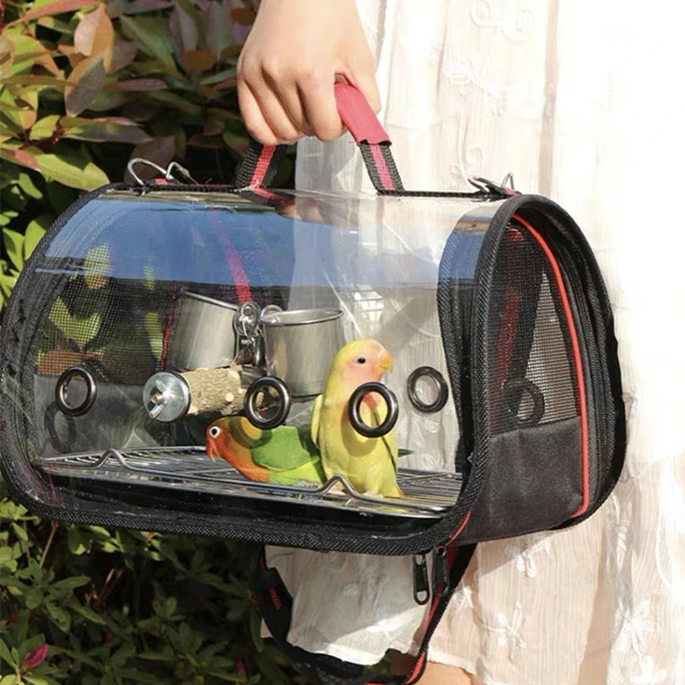Clear pet carrier with birds inside, held by a person outdoors.