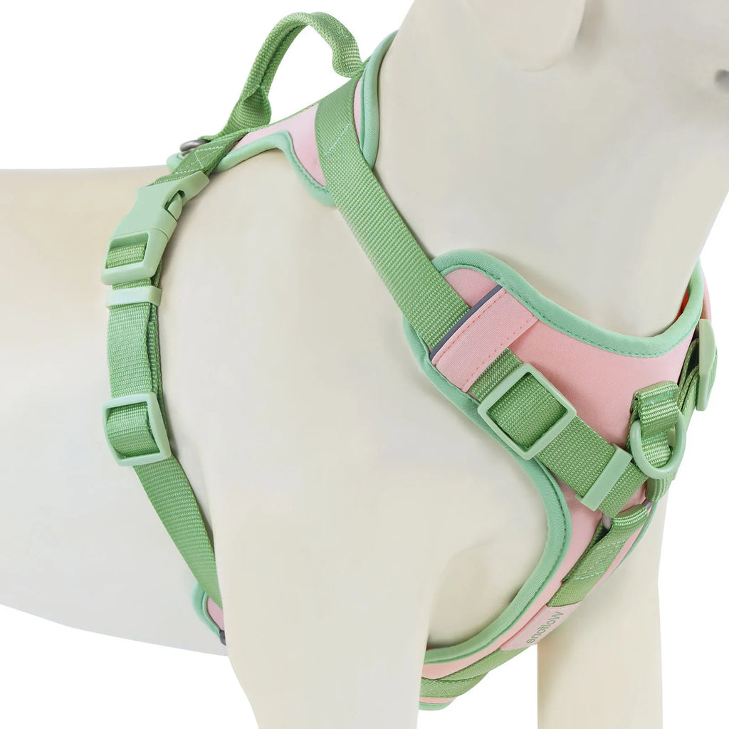 Green and pink dog harness on a mannequin
