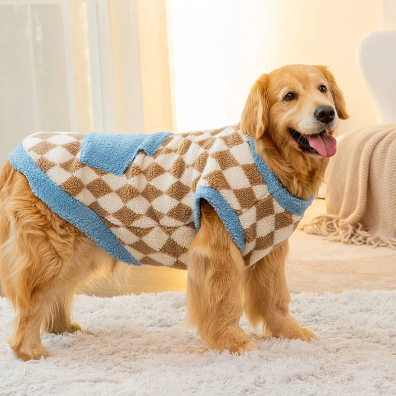 Dog wearing a checkered robe with blue trim on a light-colored carpet