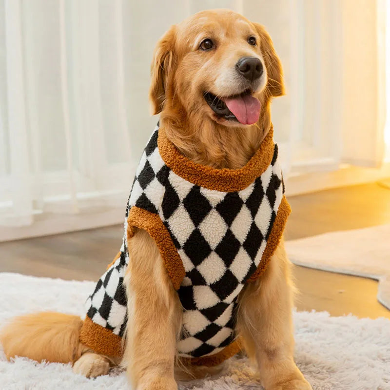 Dog wearing a checkered sweater sitting on a carpeted floor.