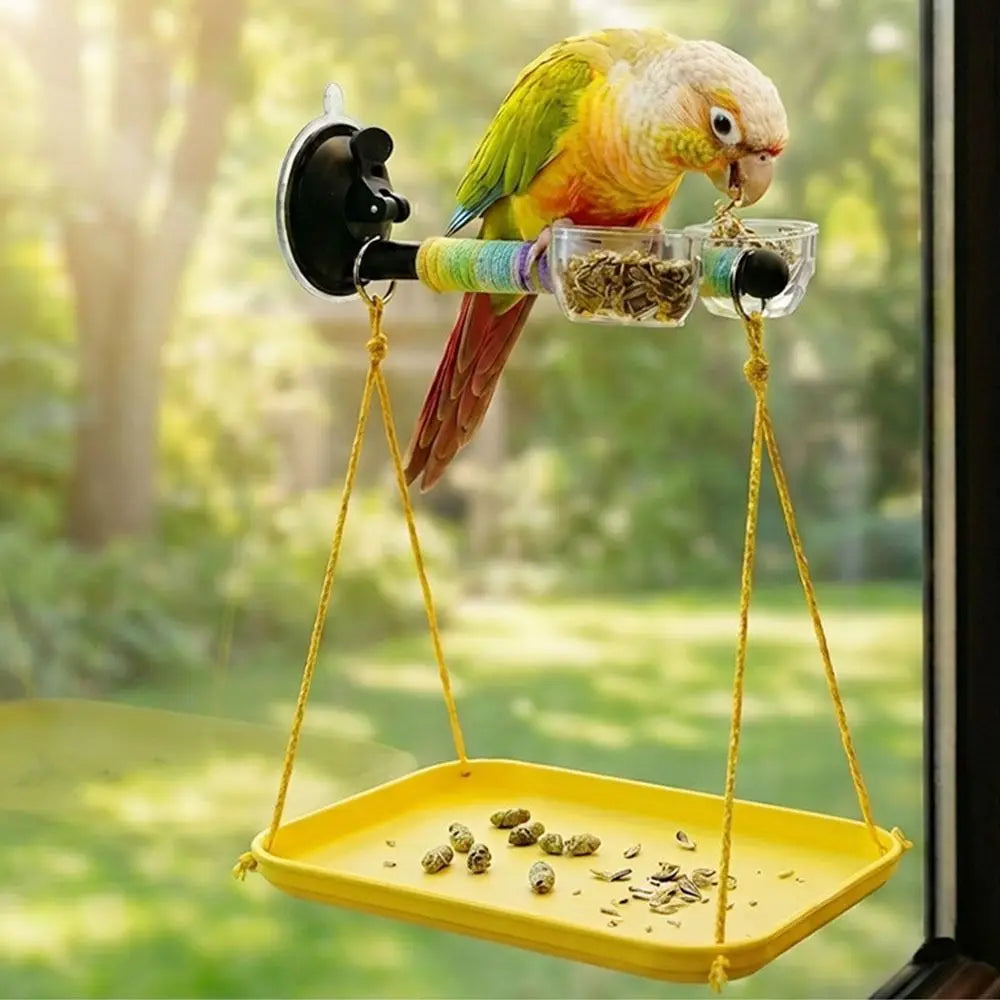 Parrot perched on a yellow bird perch with a transparent bowl containing seeds, set against a blurred green outdoor background.