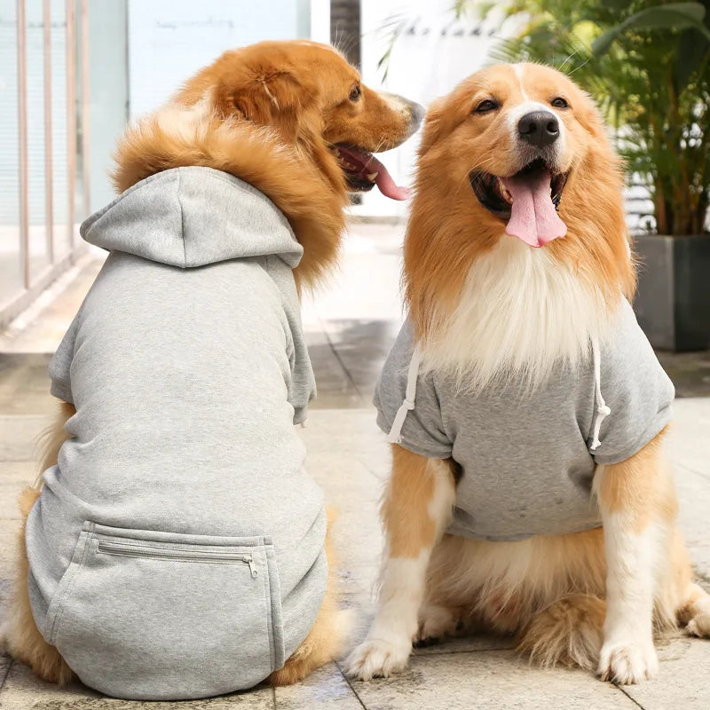 Two dogs wearing gray hoodies sitting side by side outdoors.