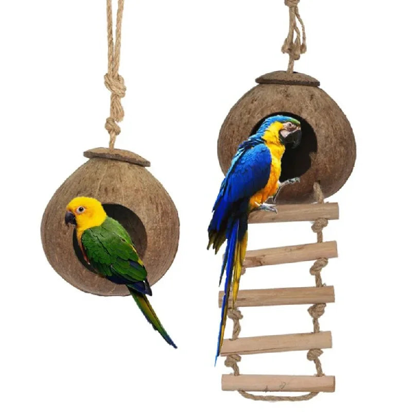 Two parrots on a wooden bird toy with a ladder and nest holes.
