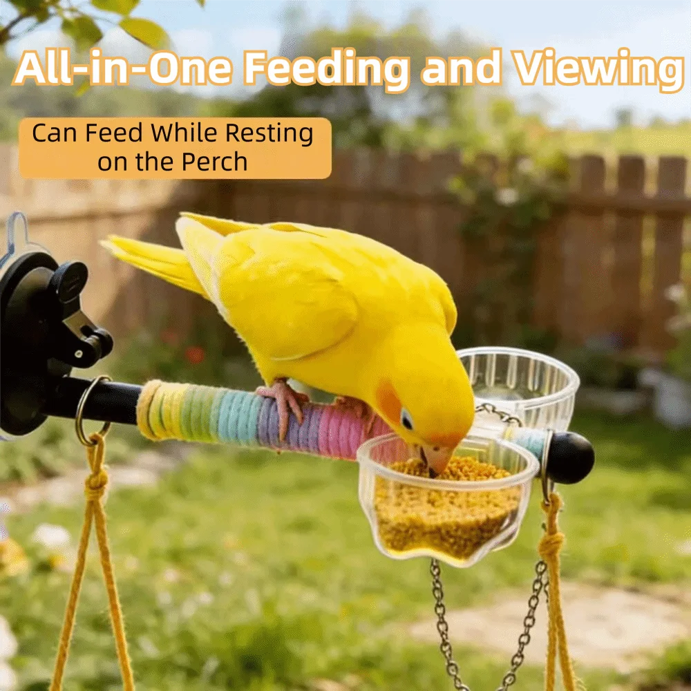 Yellow parrot on a bird feeder with text 'All-in-One Feeding and Viewing' in an outdoor setting.