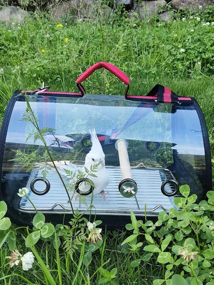 Clear pet carrier with a white parrot inside, surrounded by green grass and plants.