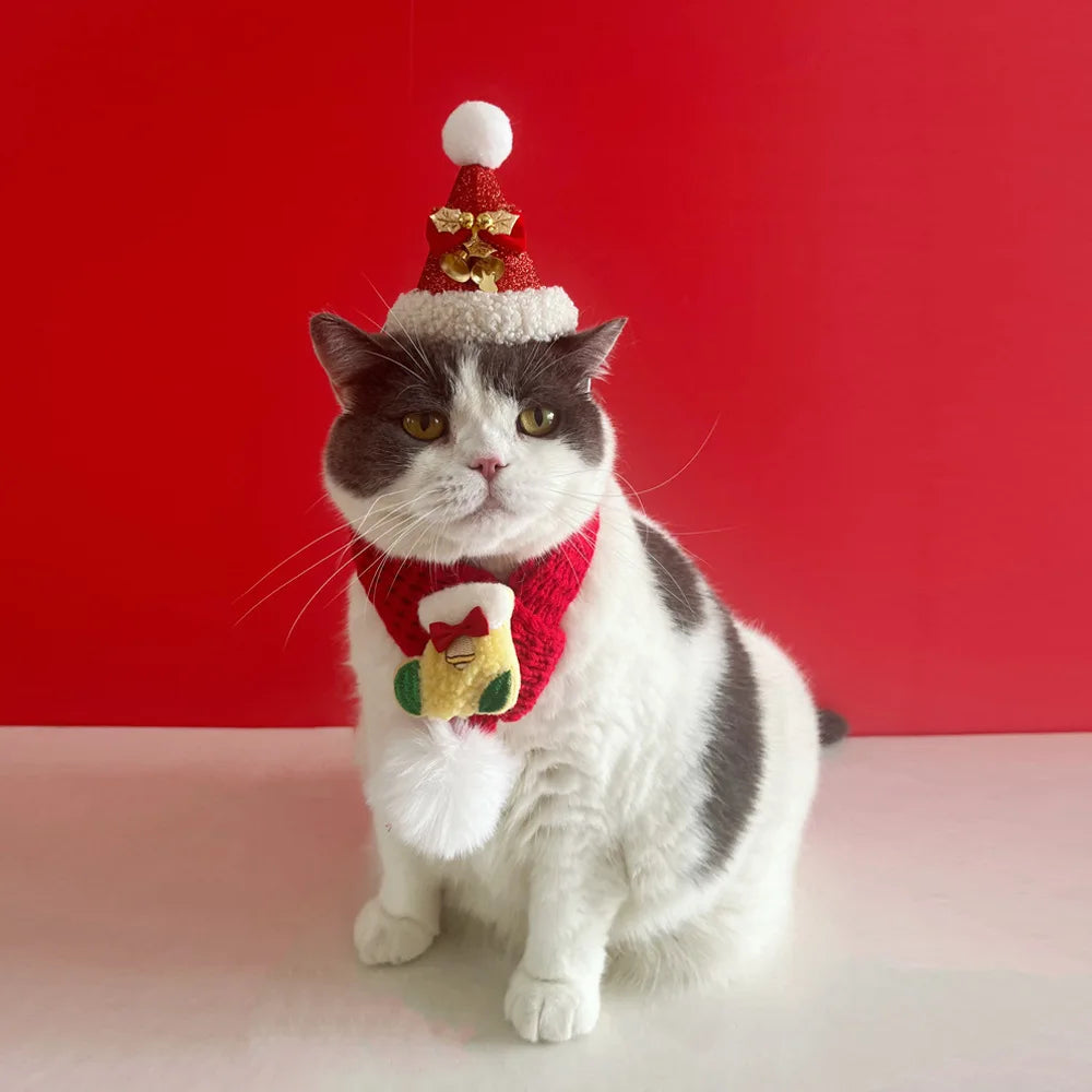 Cat wearing a festive hat and scarf on a red background