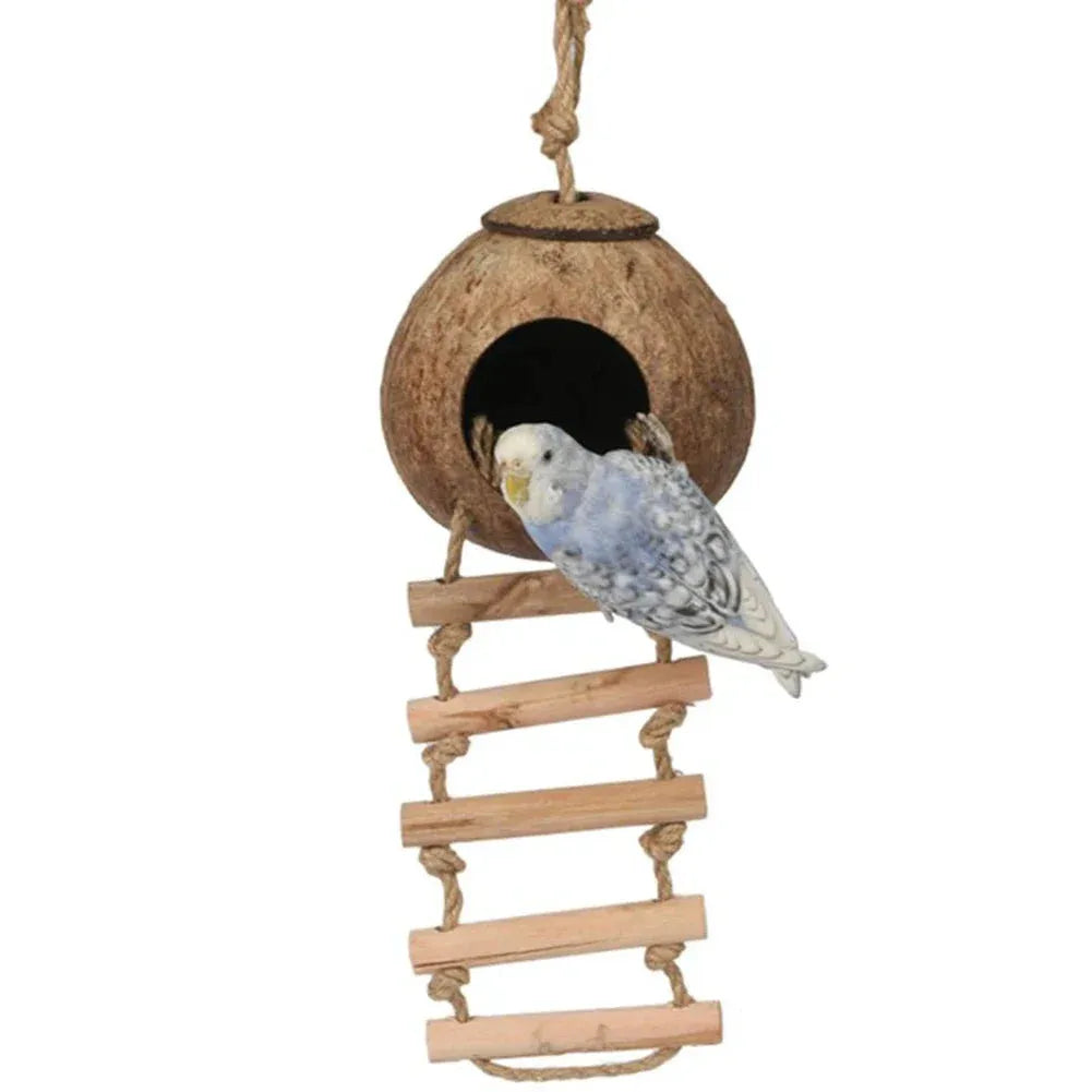 Birdhouse with a ladder and a parakeet on a white background
