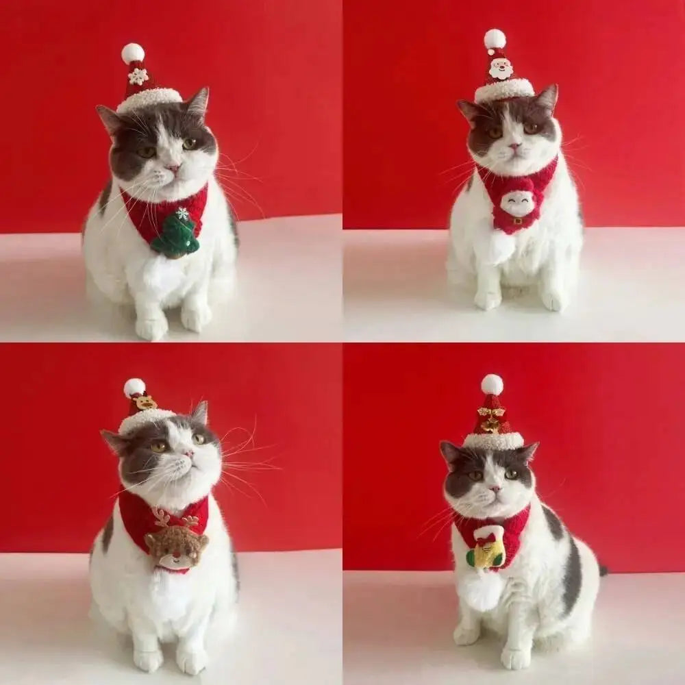 A four-panel collage showing a gray-and-white cat wearing a small Santa hat and red holiday sweater with different decorative ornaments, posed against a red background.