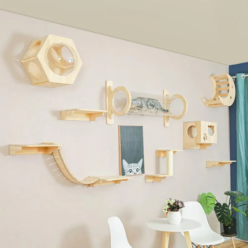 Wooden cat shelves on a wall with a cat sitting on one of them.