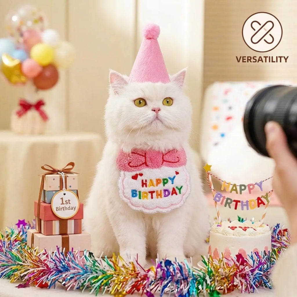 A fluffy white cat wearing a pink party hat and a pink 'HAPPY BIRTHDAY' bib, posed in a birthday-themed setting with colorful tinsel, a small cake, gift boxes, balloons, and a camera visible on the right. The VERSATILITY logo appears in the top right corner.