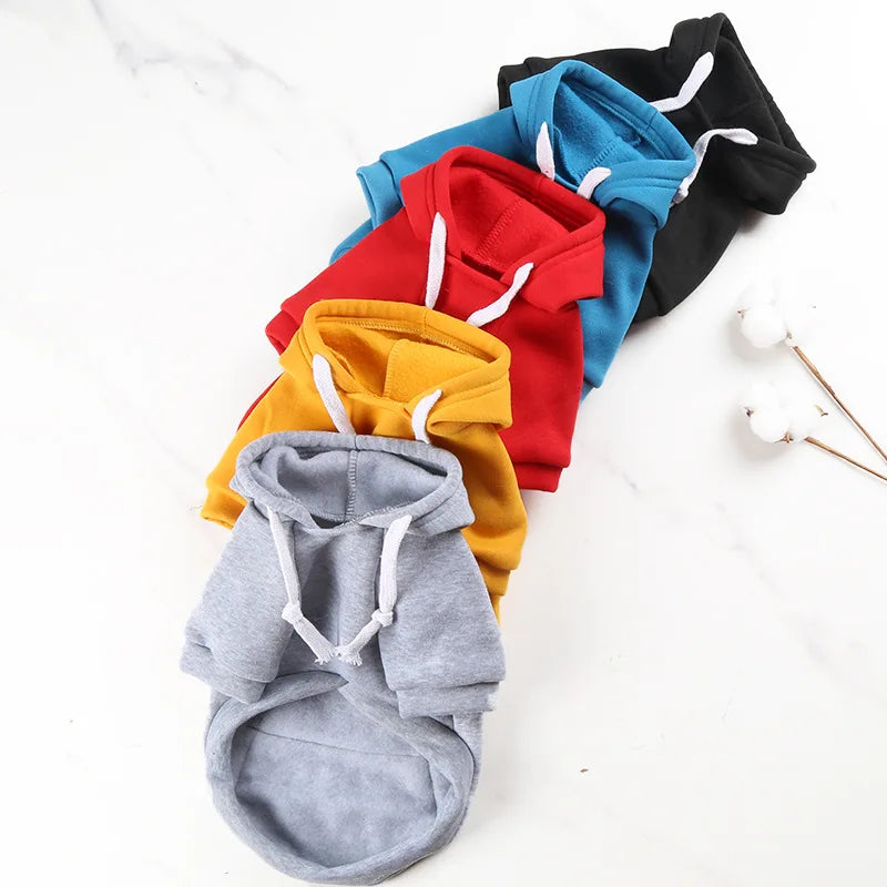 Five colorful dog hoodies arranged on a white surface.