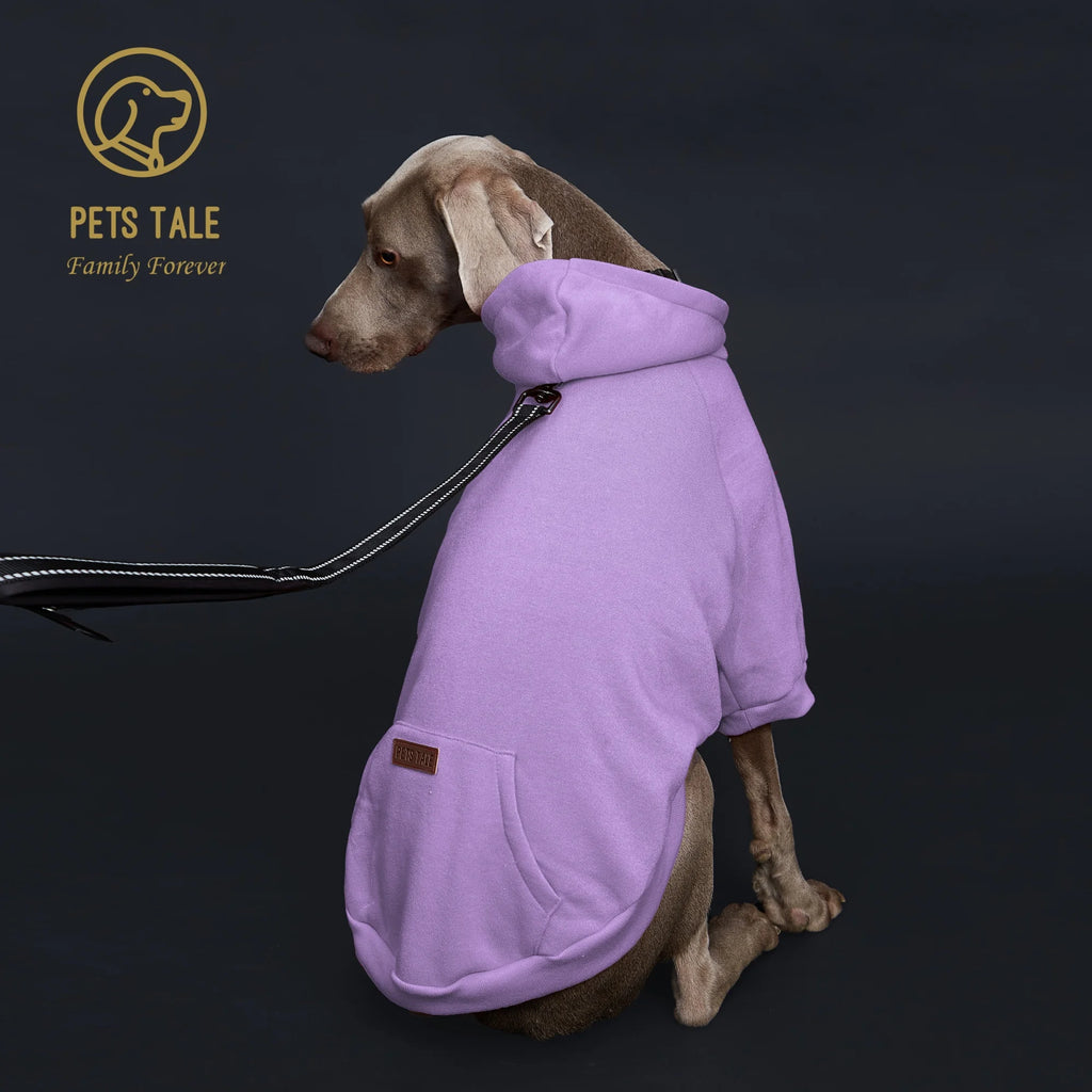 Dog wearing a purple hoodie with 'Pets Tale' logo on a dark background