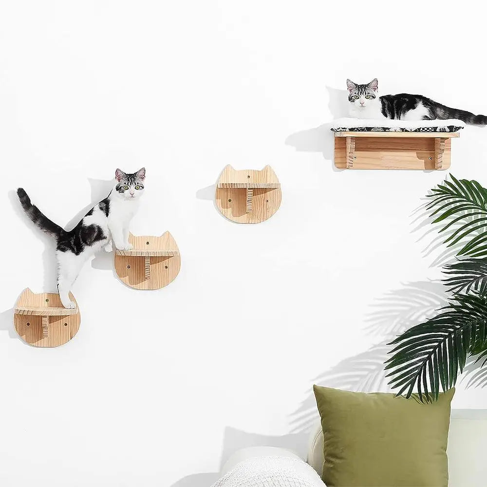 Wooden cat shelves with cats on a white wall, green plant to the side