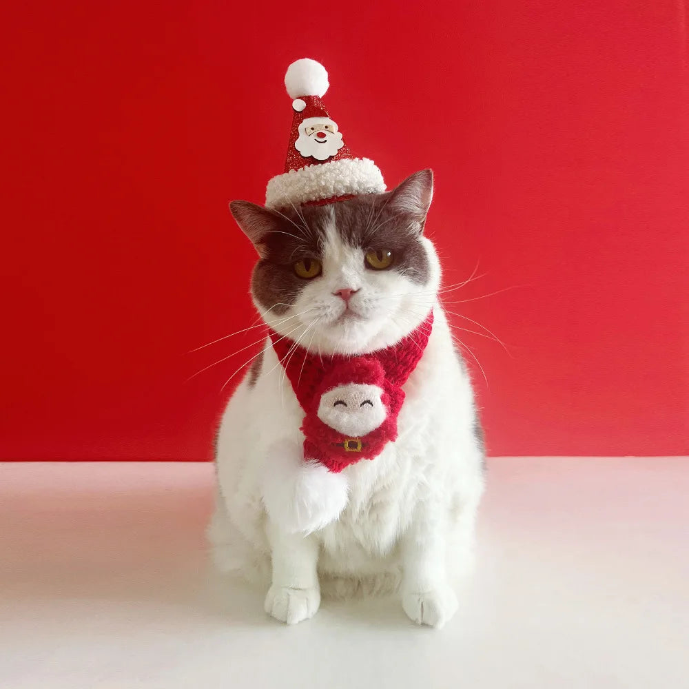 Cat wearing a festive hat and scarf against a red background