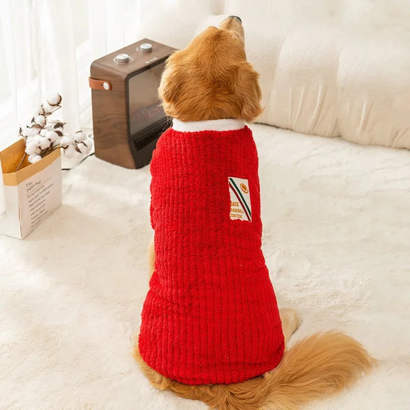 Dog wearing a red sweater sitting on a couch.