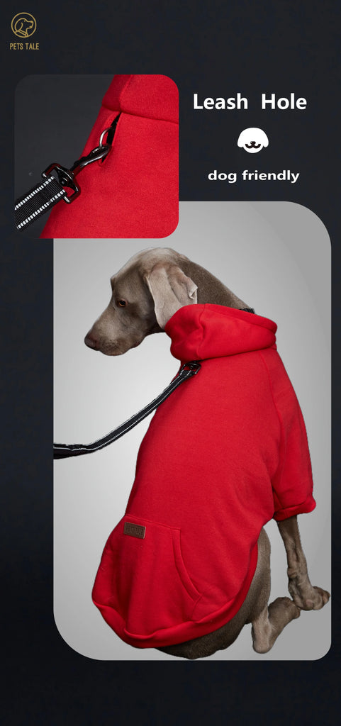 Red dog coat with a leash hole on a gray background