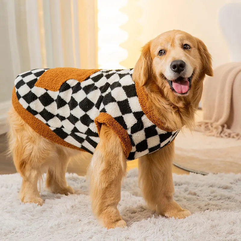 Dog wearing a checkered sweater on a light-colored carpet