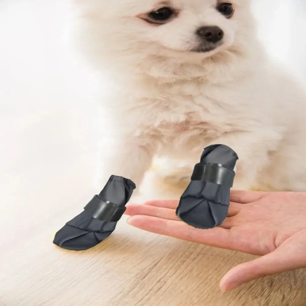 Black dog boots on a person's palm with a small white dog in the background