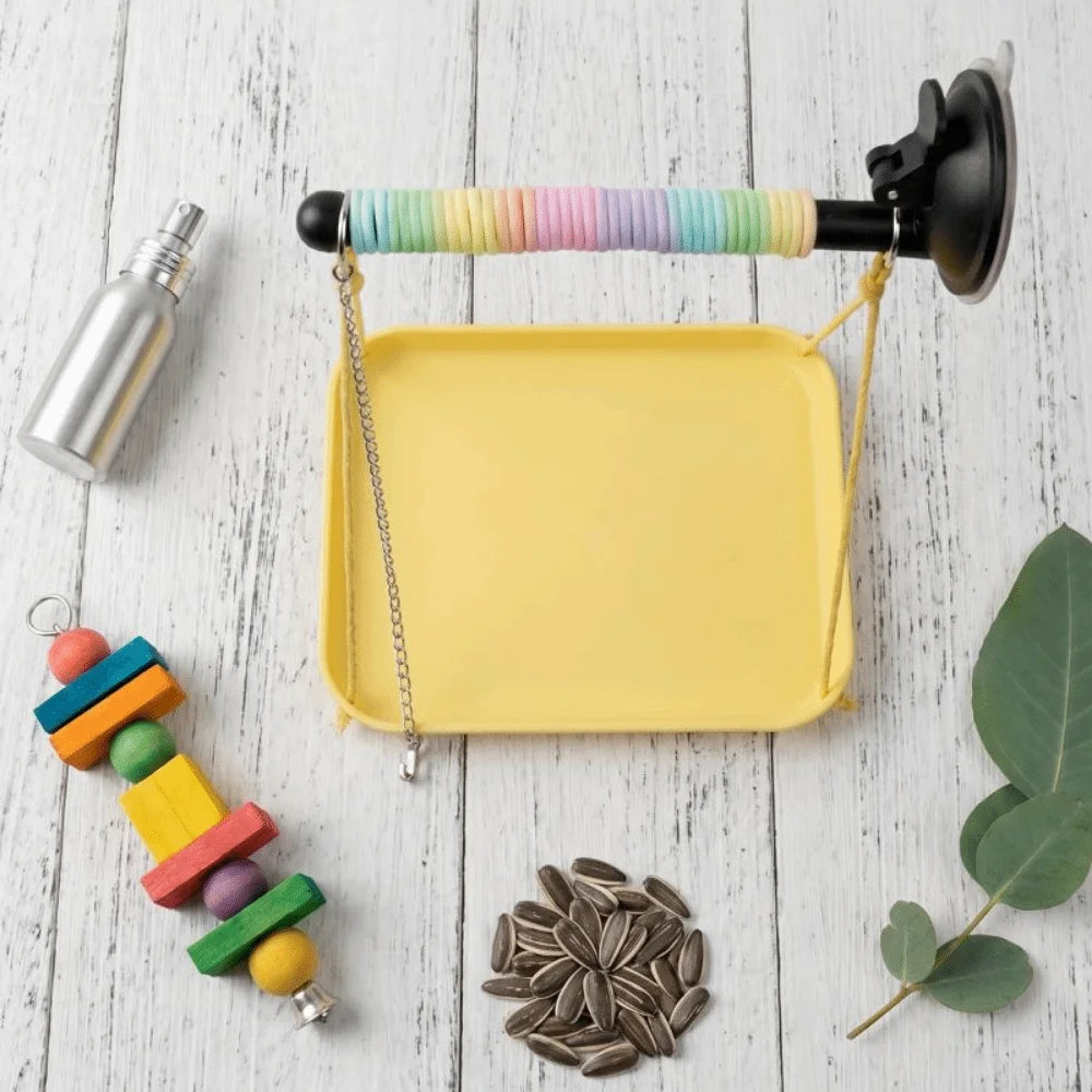 Pet toy with colorful beads and a yellow tray on a wooden surface with leaves and seeds.