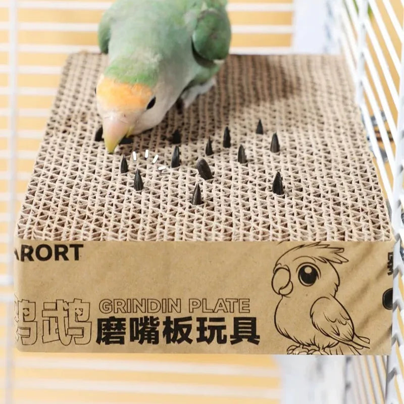 Bird on a cardboard Grinding Plate with a parrot illustration and text