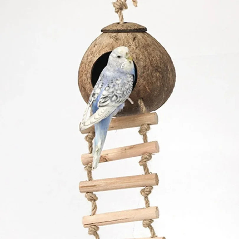 Bird perched on a wooden ladder attached to a coconut shell birdhouse on a white background