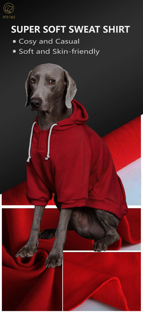 Dog wearing a red sweatshirt with text about the product's features on a dark background