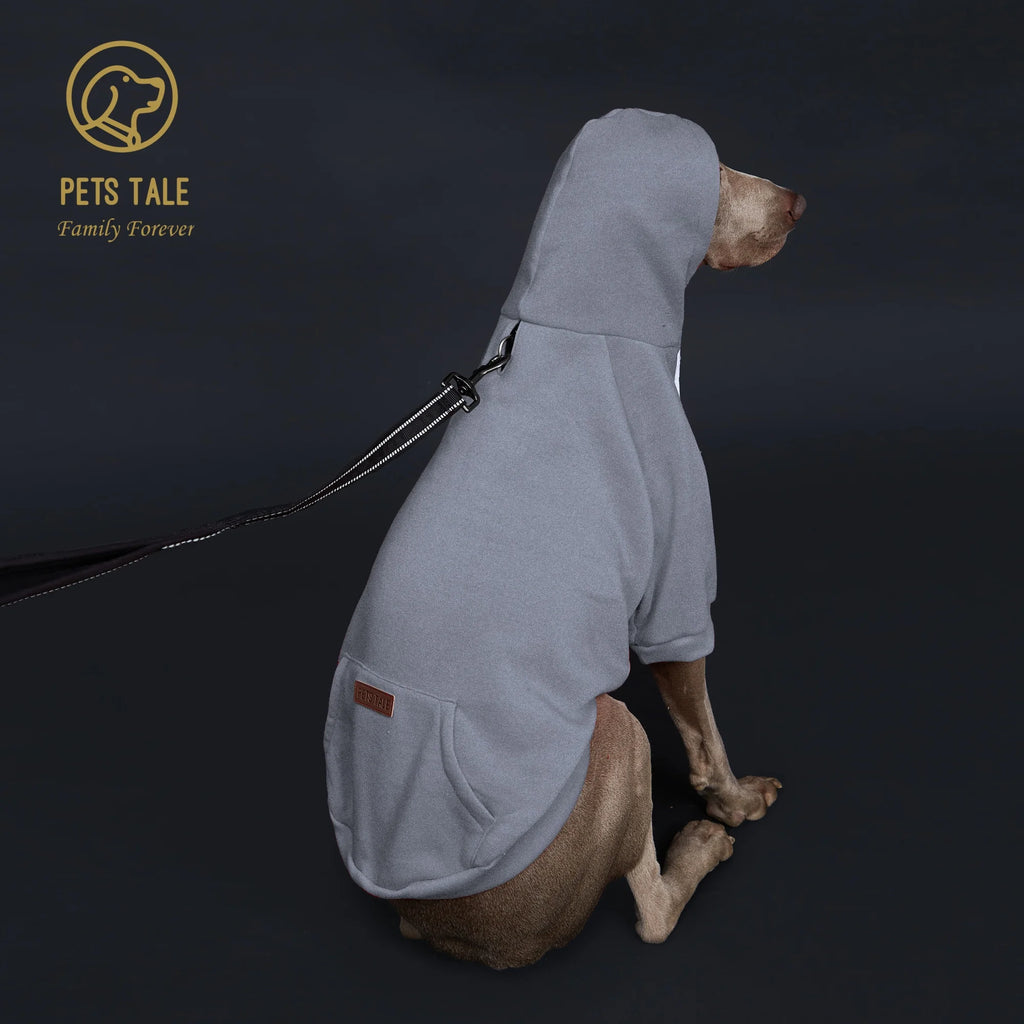 Dog wearing a gray hoodie with 'Pets Tale' logo on a dark background