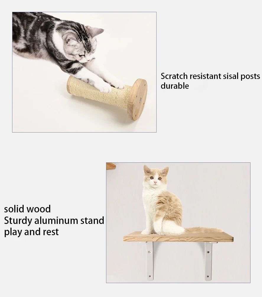 Cat using a scratch-resistant sisal post and sitting on a wooden cat shelf with text describing features.