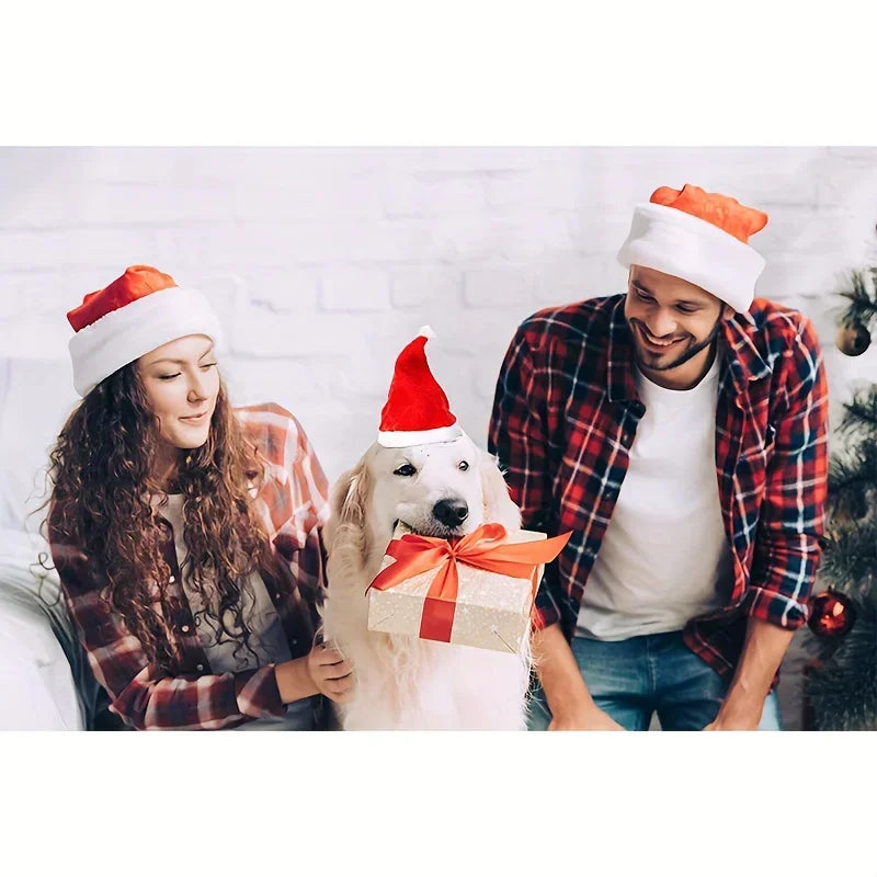 Two people and a dog wearing Santa hats with a gift box, Christmas tree in the background