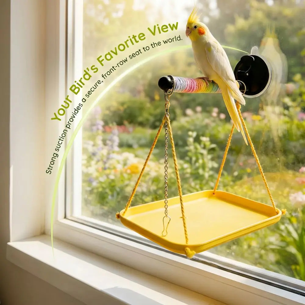 Bird perched on a yellow window perch with text about bird safety.