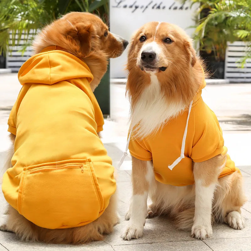 Two dogs wearing yellow hoodies sitting side by side on a stone surface.