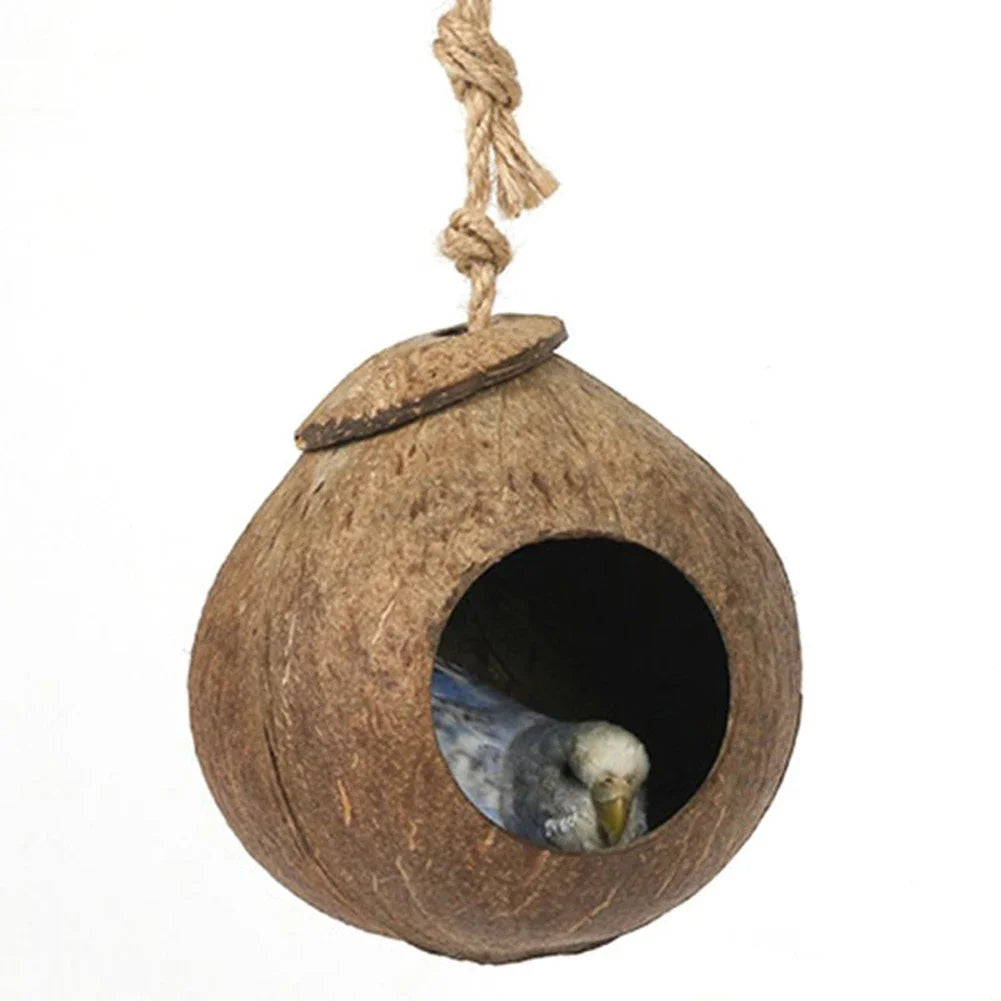 Coconut shell birdhouse with a bird peeking out on a white background