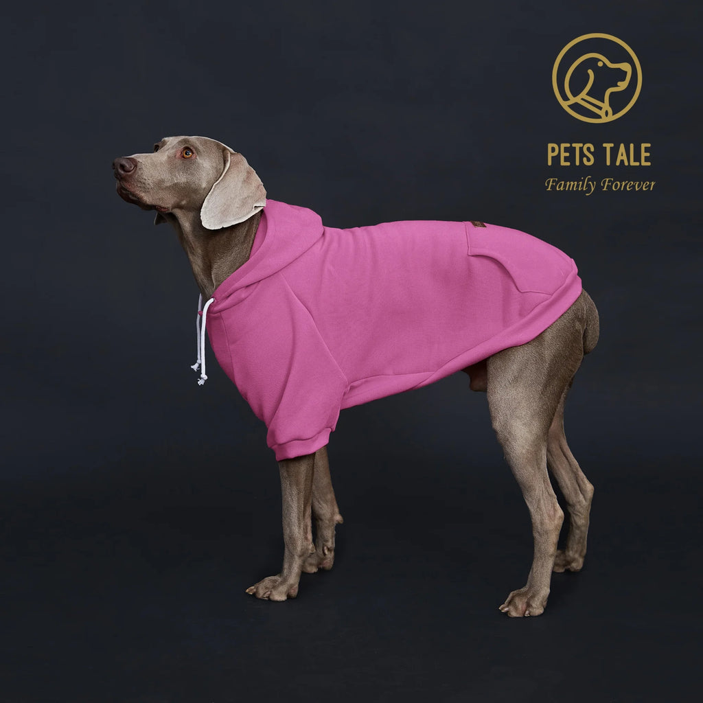 Dog wearing a pink hoodie with 'Pets Tale' logo on a dark background