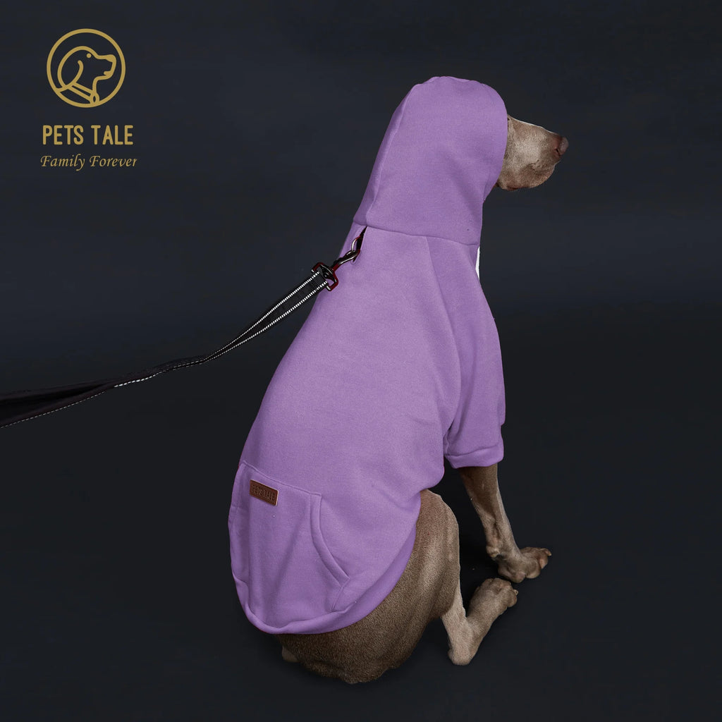 Dog wearing a purple hoodie with a leash, sitting on a dark background, branded 'Pets Tale'.