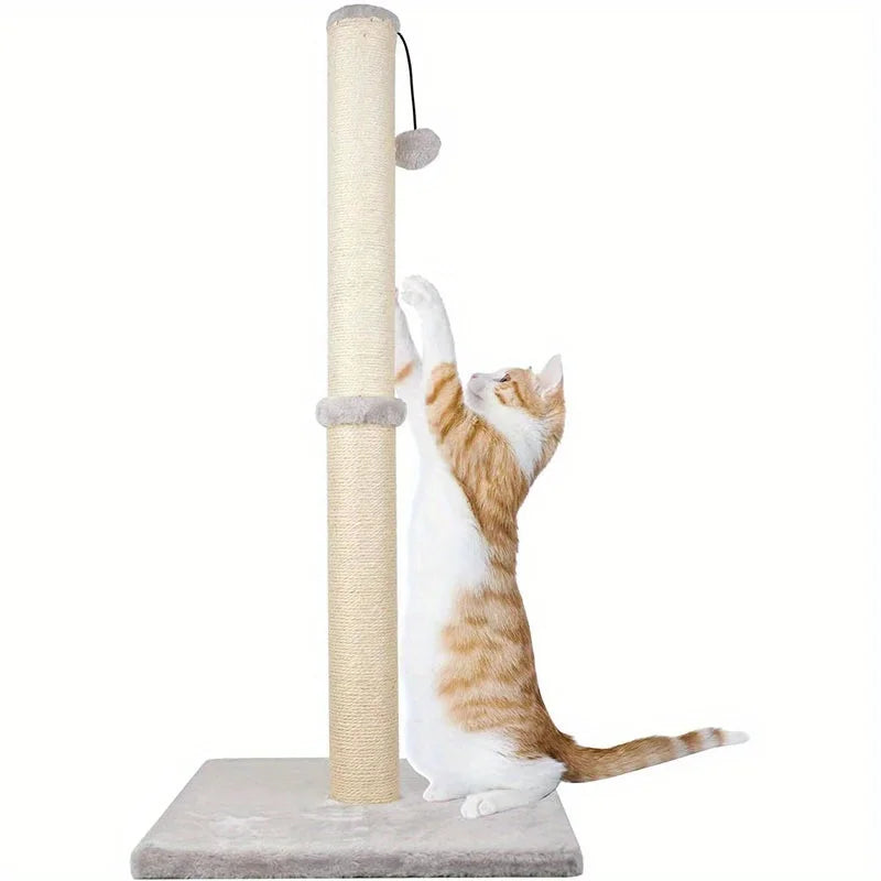 Cat climbing a scratching post on a white background