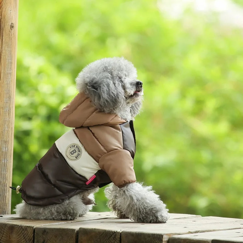 Small dog wearing a brown and beige coat with a hood, sitting on a wooden bench outdoors.