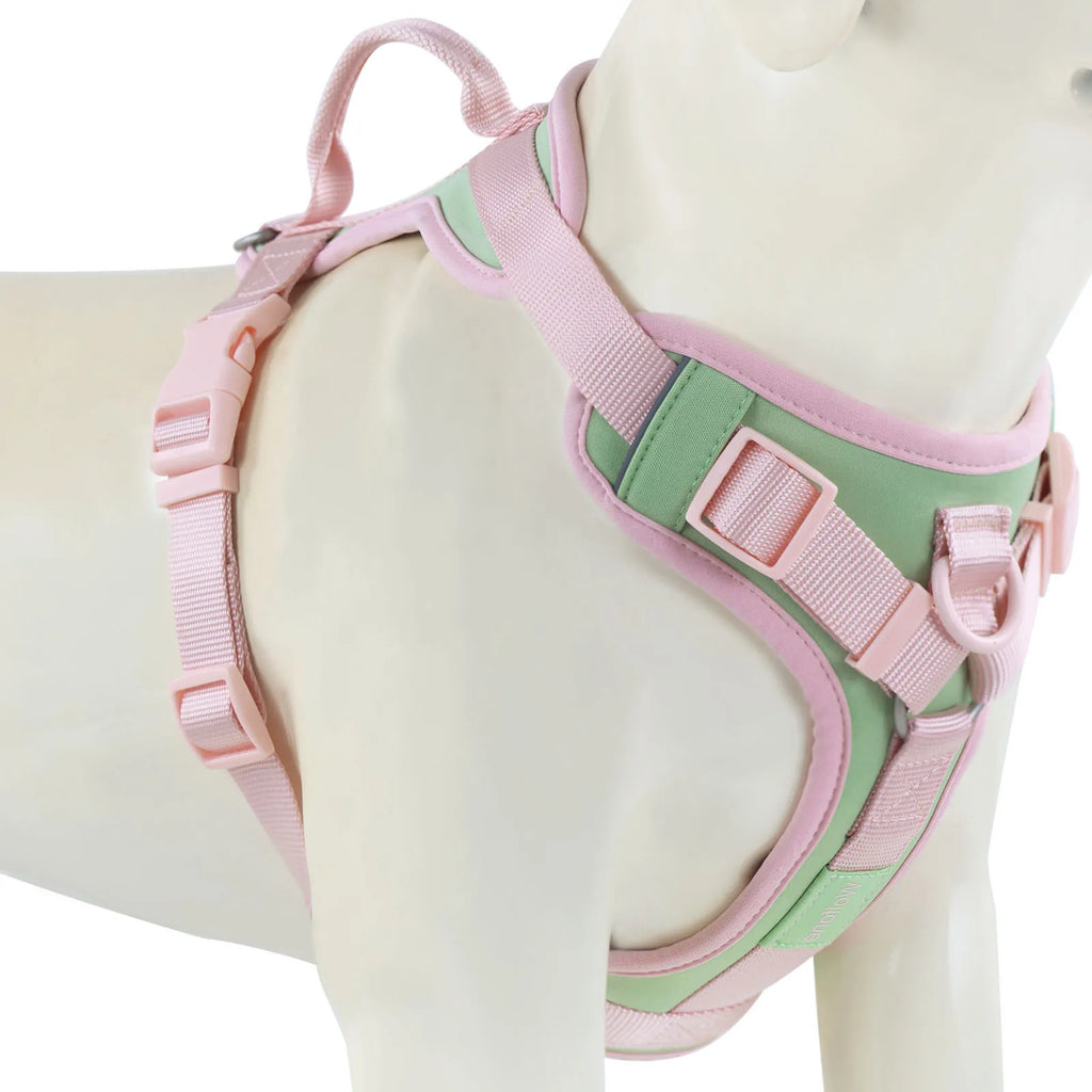 Pink and green dog harness on a mannequin